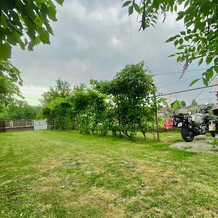 Cazare Vila Maria Curtea de Argeş Exterior foto