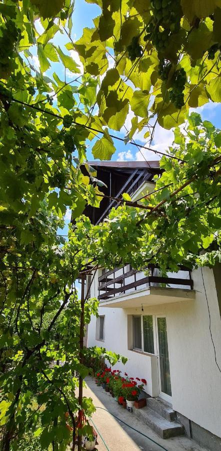Cazare Vila Maria Curtea de Argeş Exterior foto