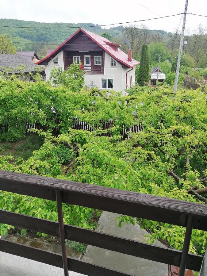Cazare Vila Maria Curtea de Argeş Exterior foto