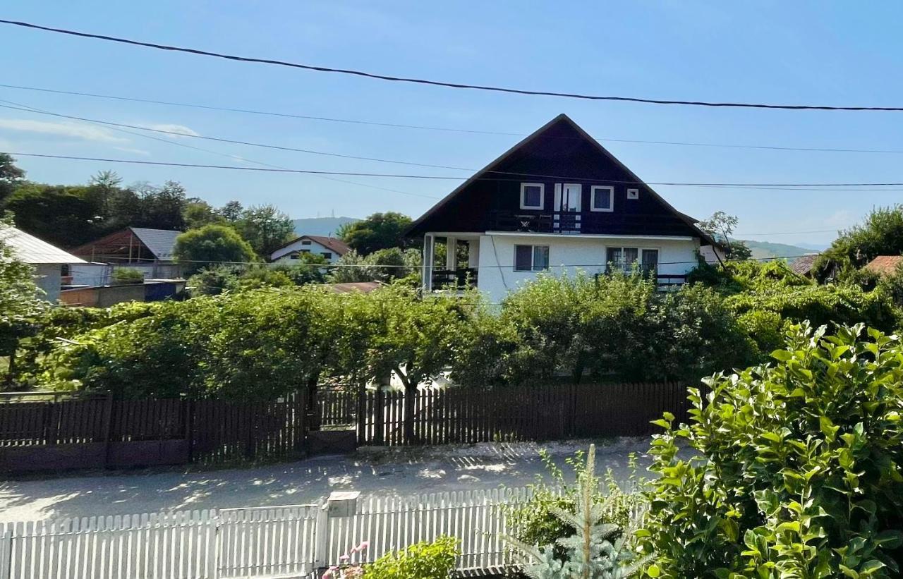 Cazare Vila Maria Curtea de Argeş Exterior foto